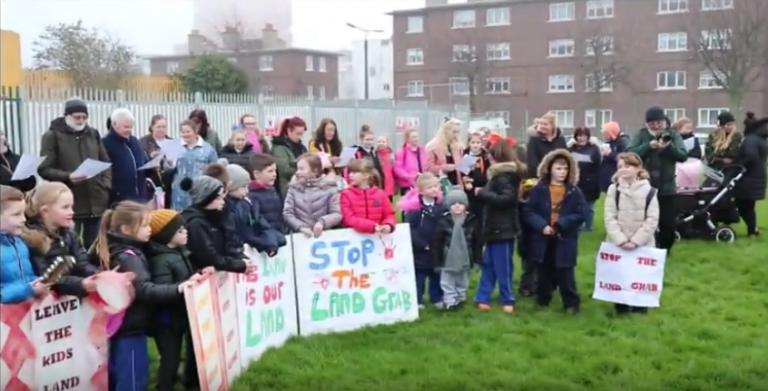 Facts about dolphins picture